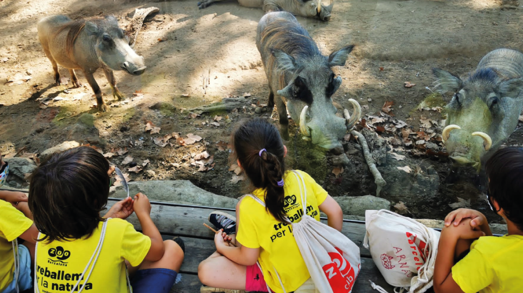 Se puede comer en el zoo de barcelona